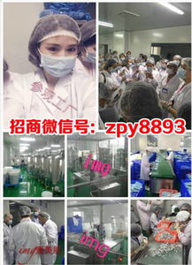 愛美肌、悅素堂與愛奈兒產品體驗及燕兒團隊代理模式解析