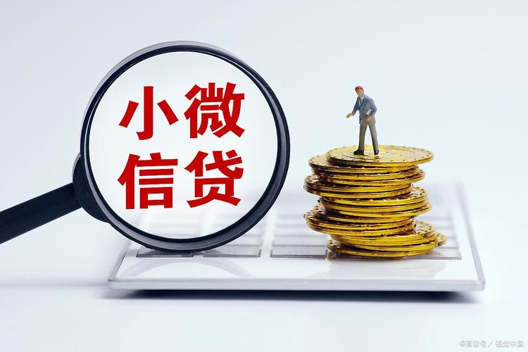 小額信貸的雙重維度 金融服務與社會服務——兼論代辦按揭服務的定位